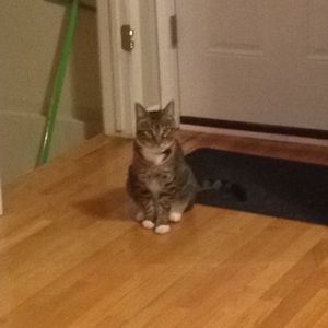 Meet your Posher, Megan